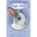Magic Molly : The Invisible Bunny by ''Holly Webb''